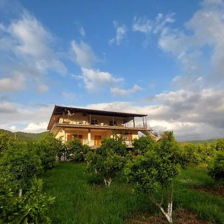 Guest House Xhaferaj Berati Exterior foto